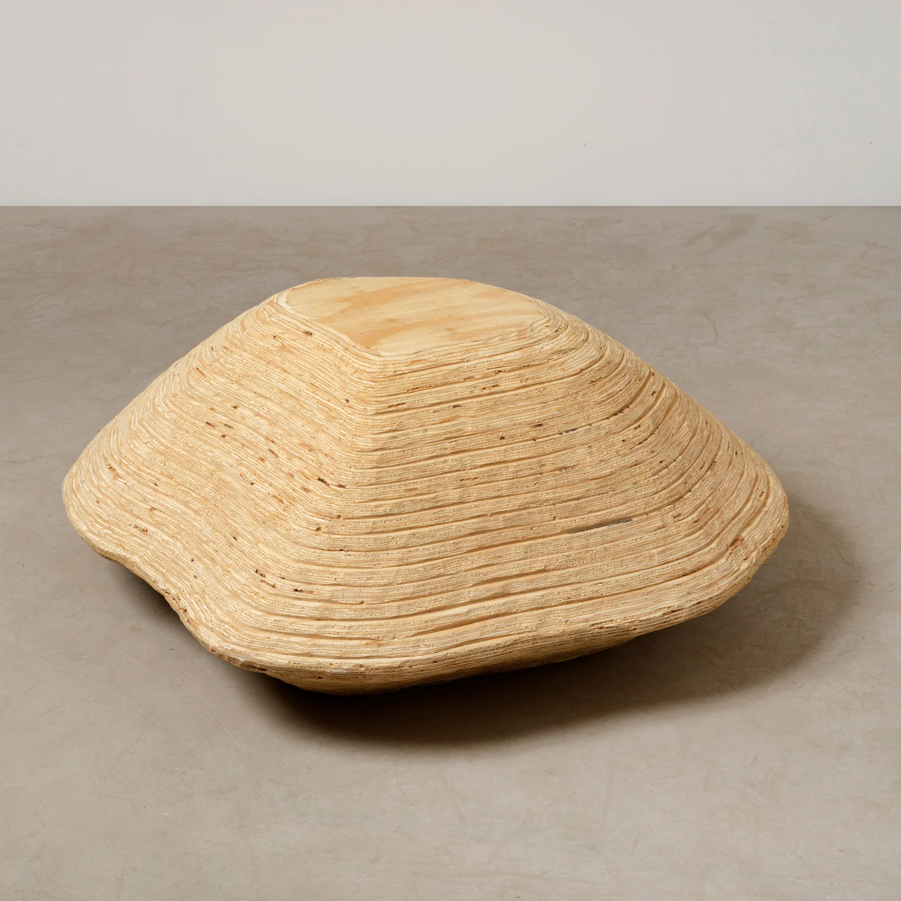 Holzsteinmeer