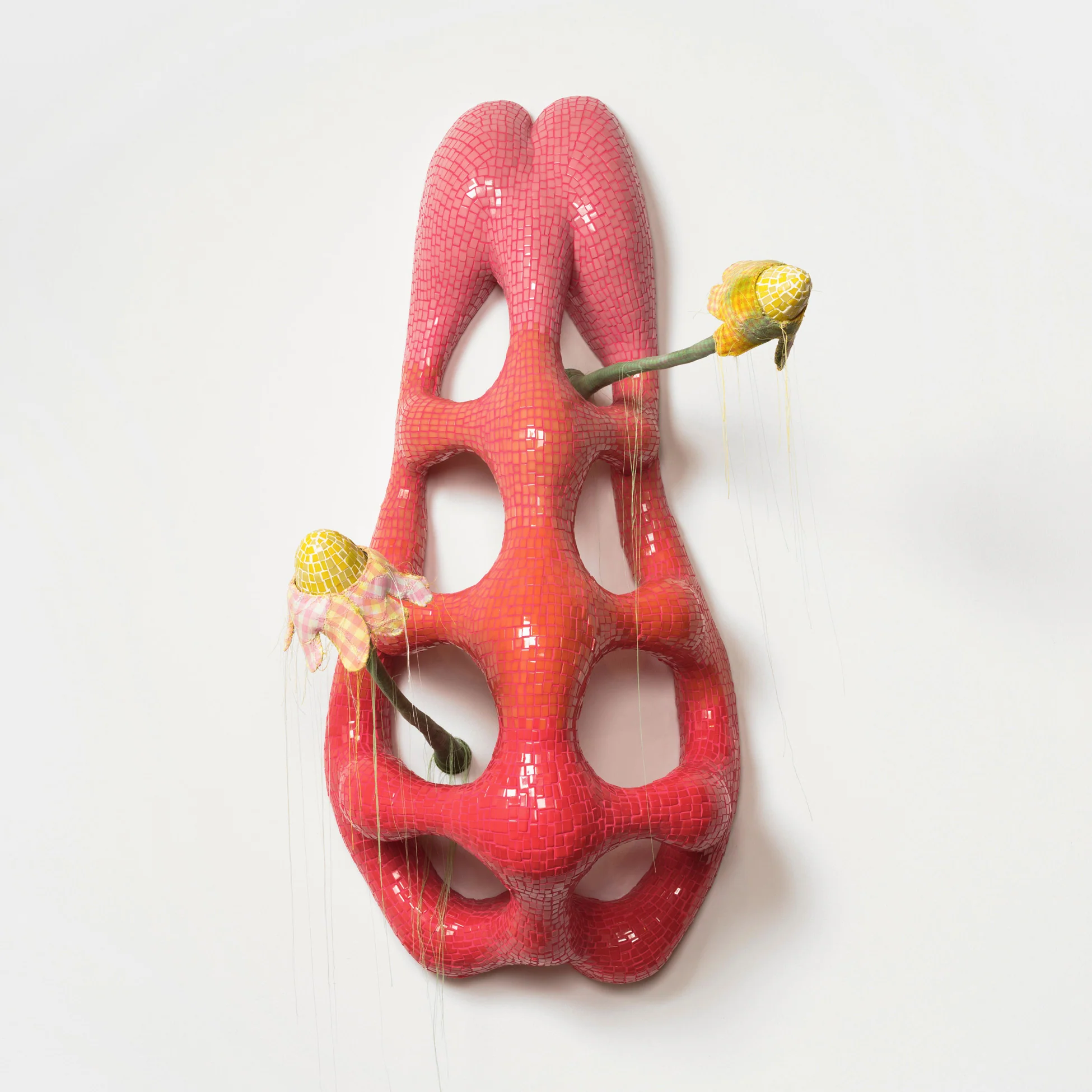 Isolation Cure - Image 2