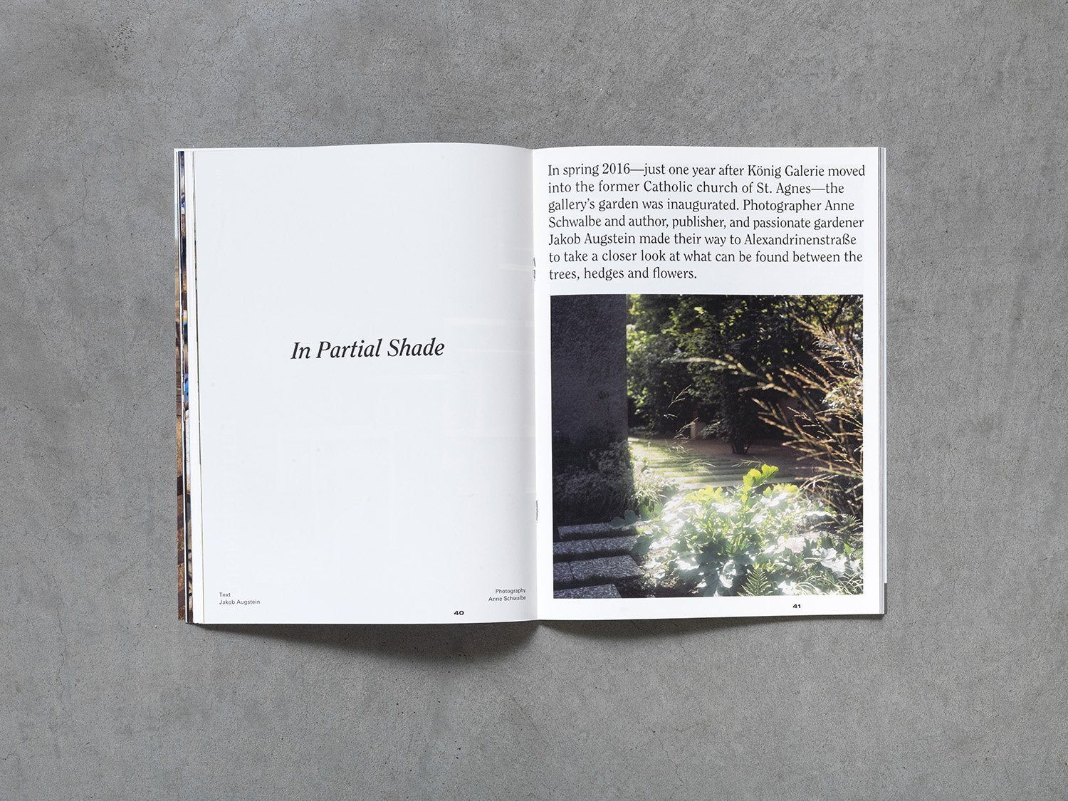 Issue 3 - Image 3