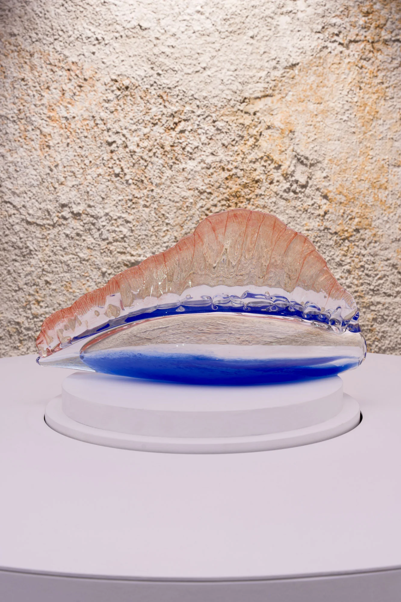 Man of War - Image 3