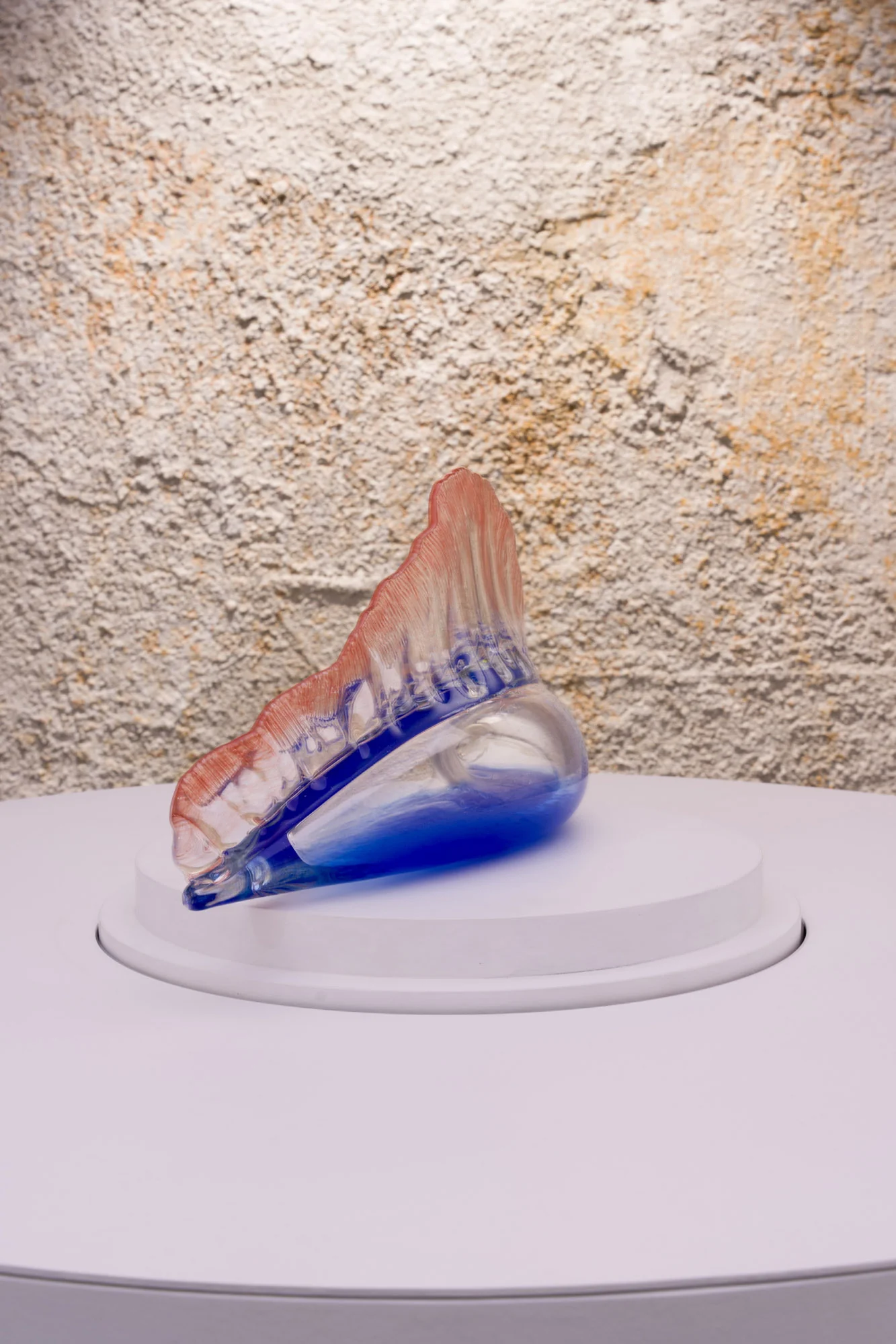 Man of War - Image 4