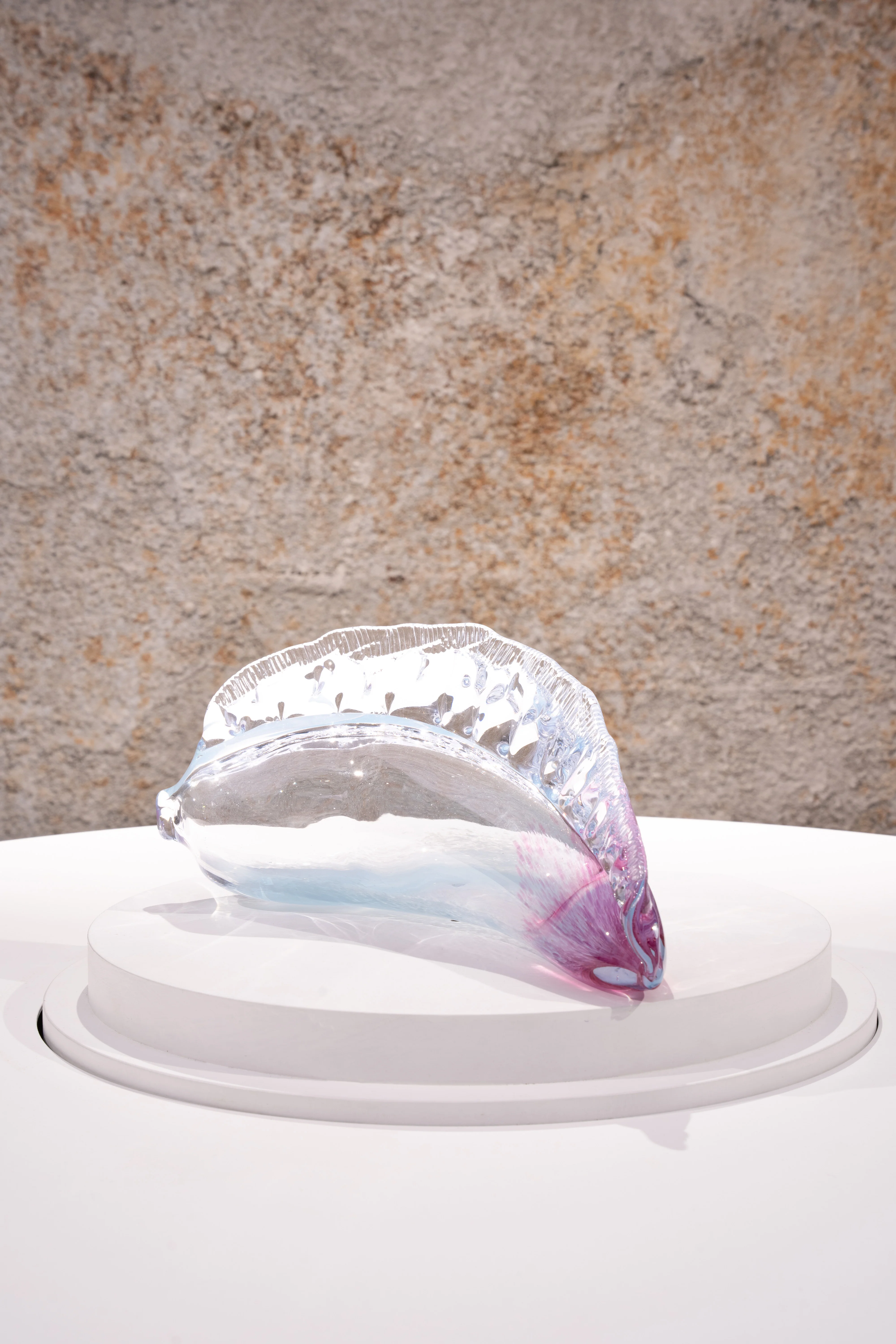 Man of War - Image 3