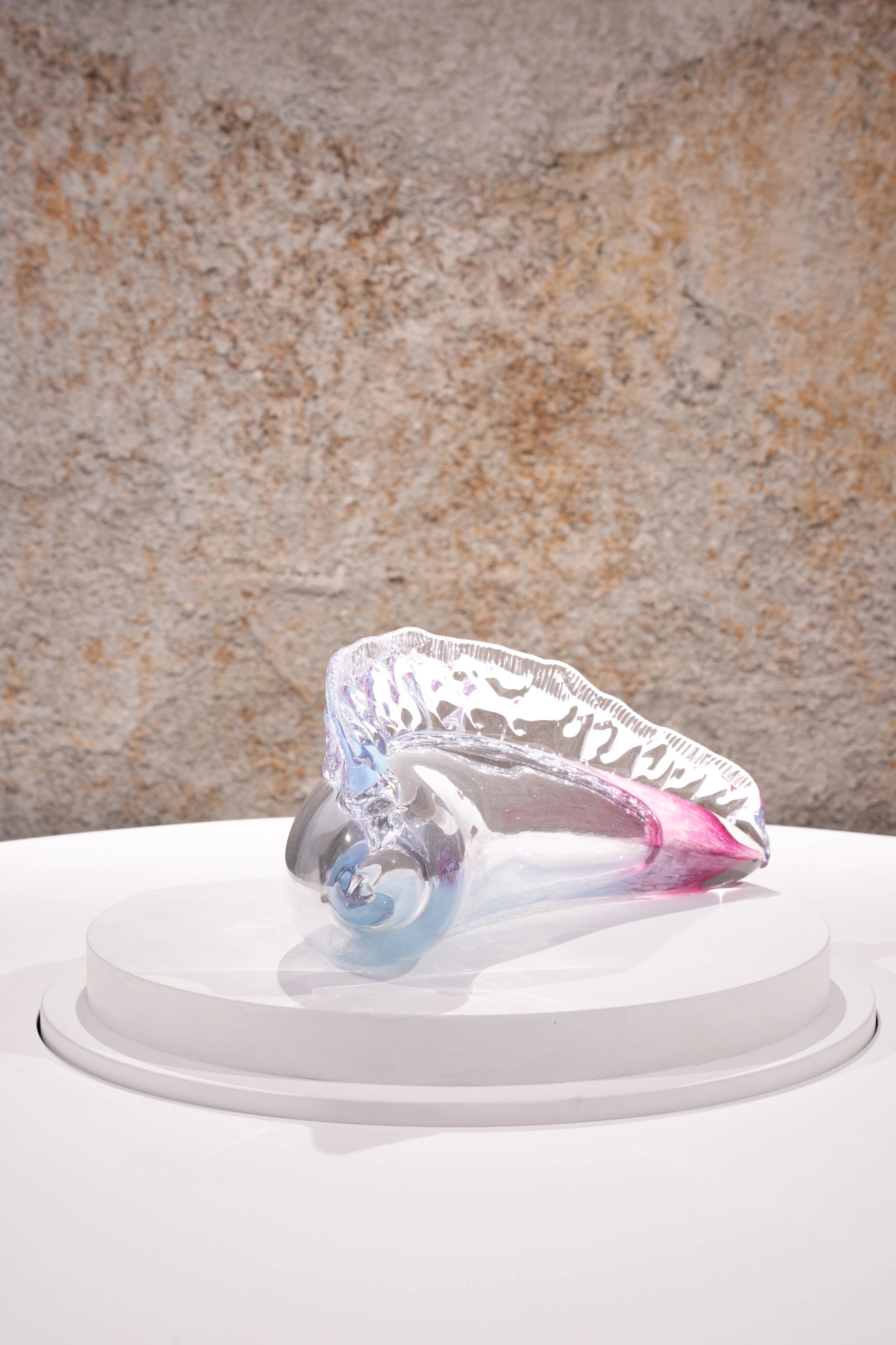 Man of War - Image 4