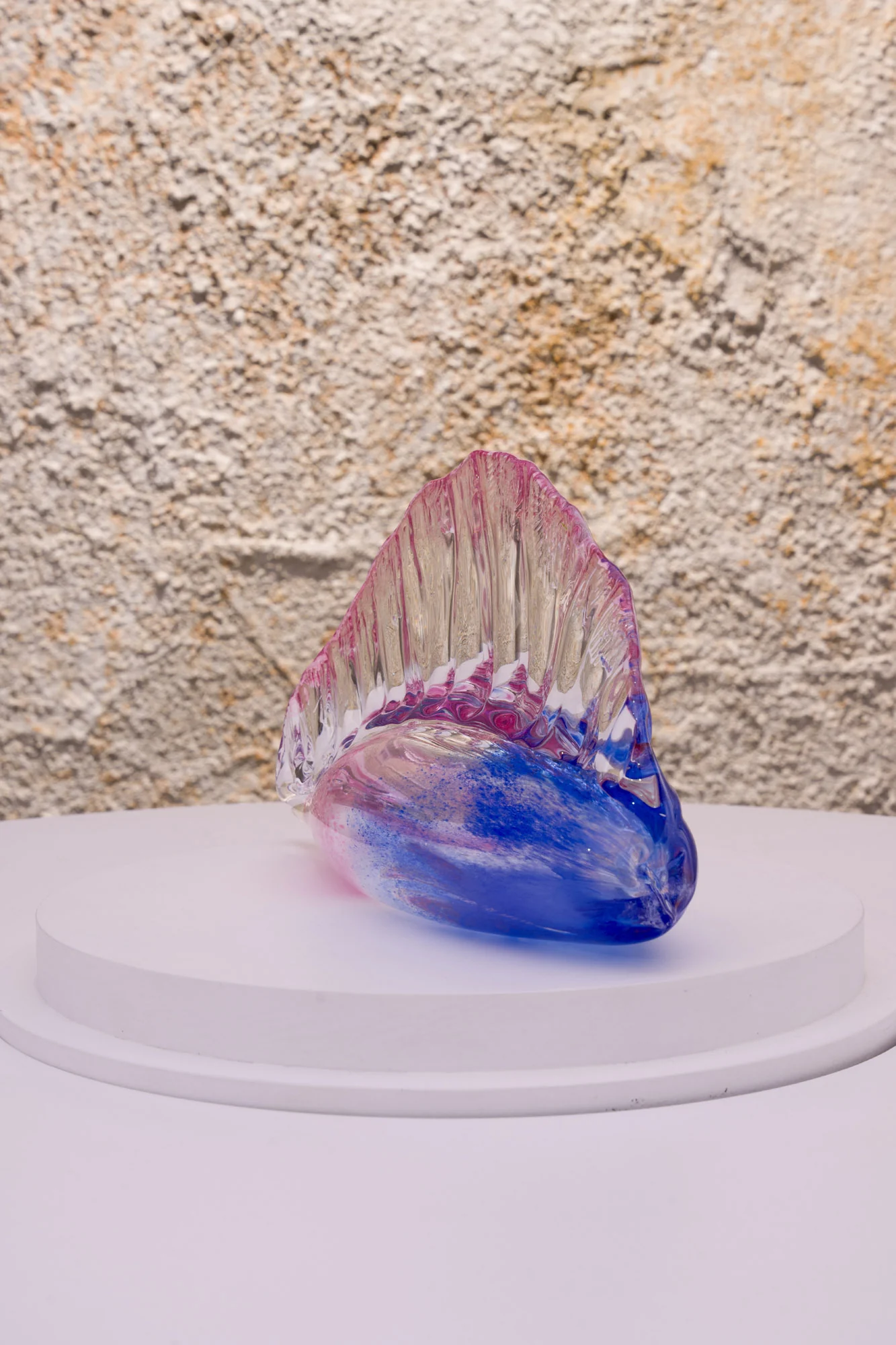 Man of War - Image 3