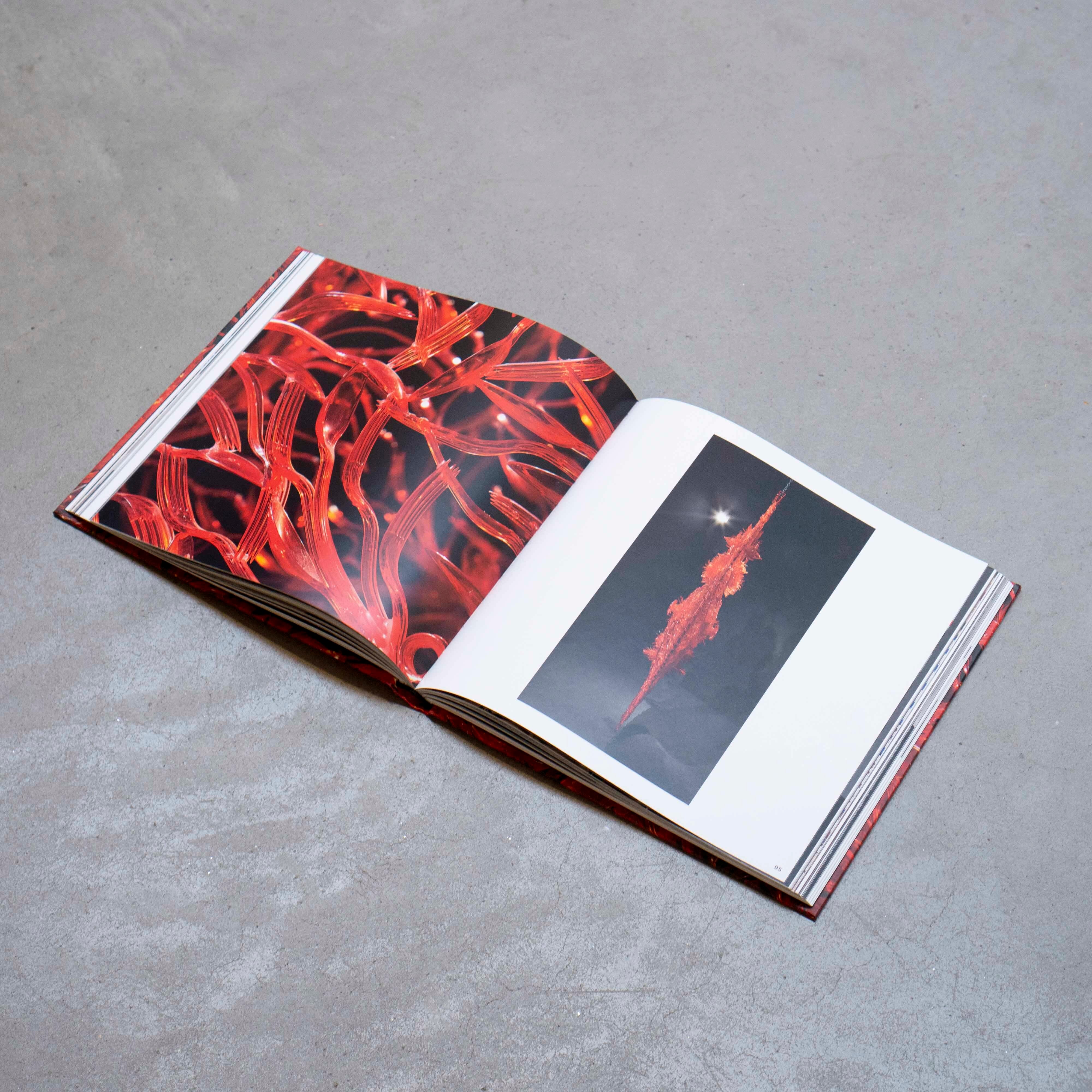 Maximal - Image 5