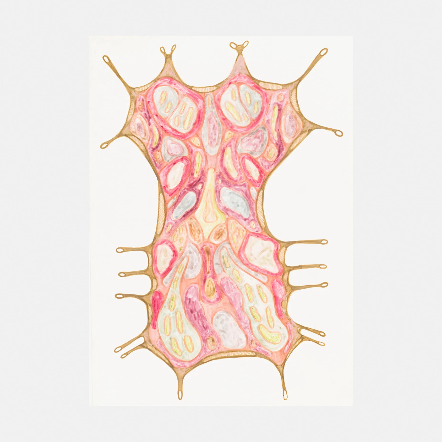 Medicinal Skin Species: Extinction Collection [R1004-IO]