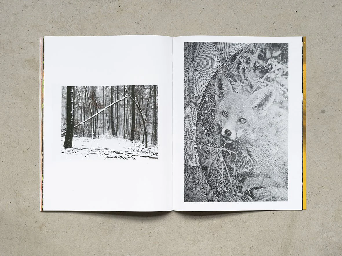 Special Issue Juergen Teller - Image 6