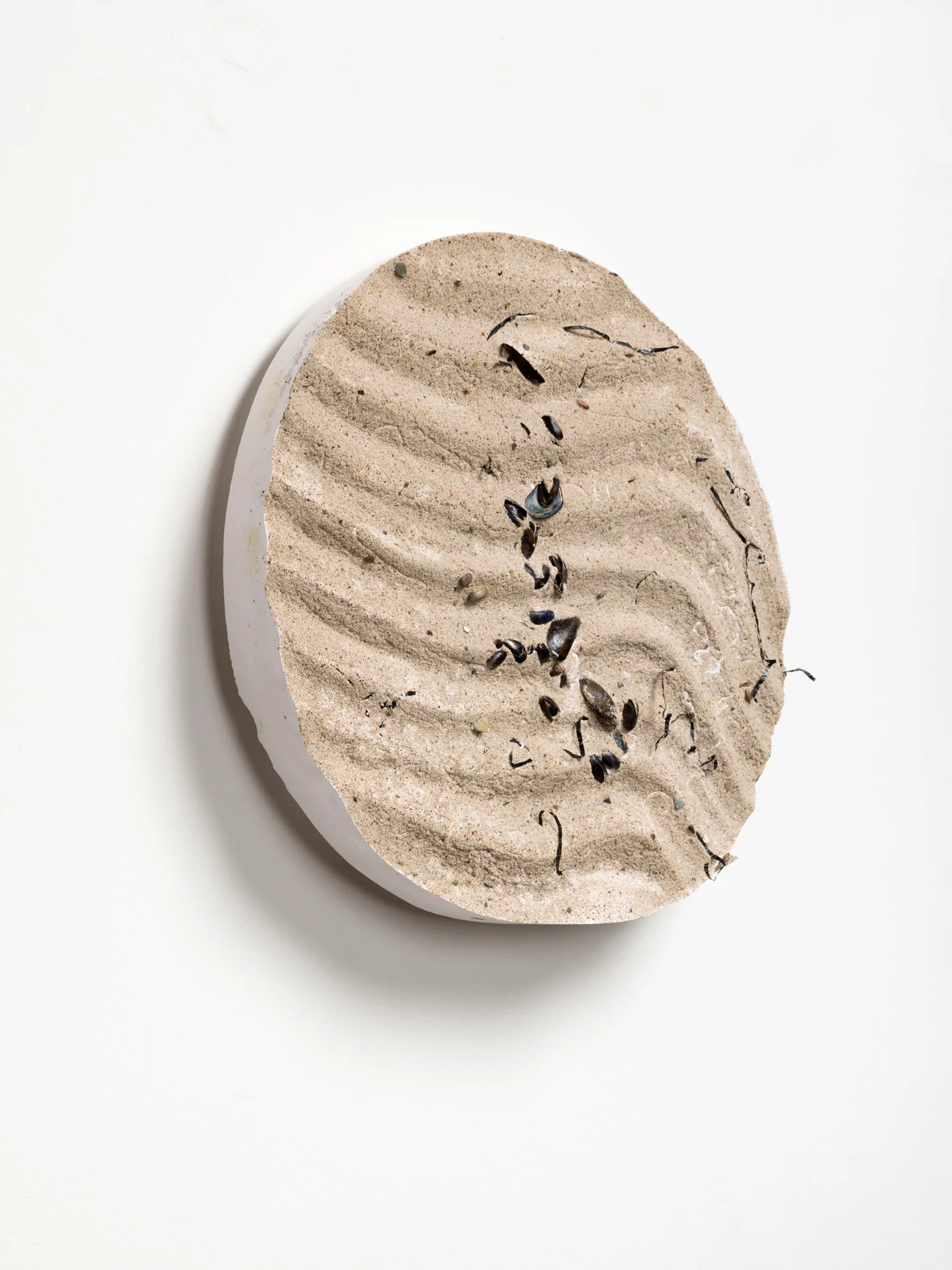 Untitled (Beach Cast II) - Image 2