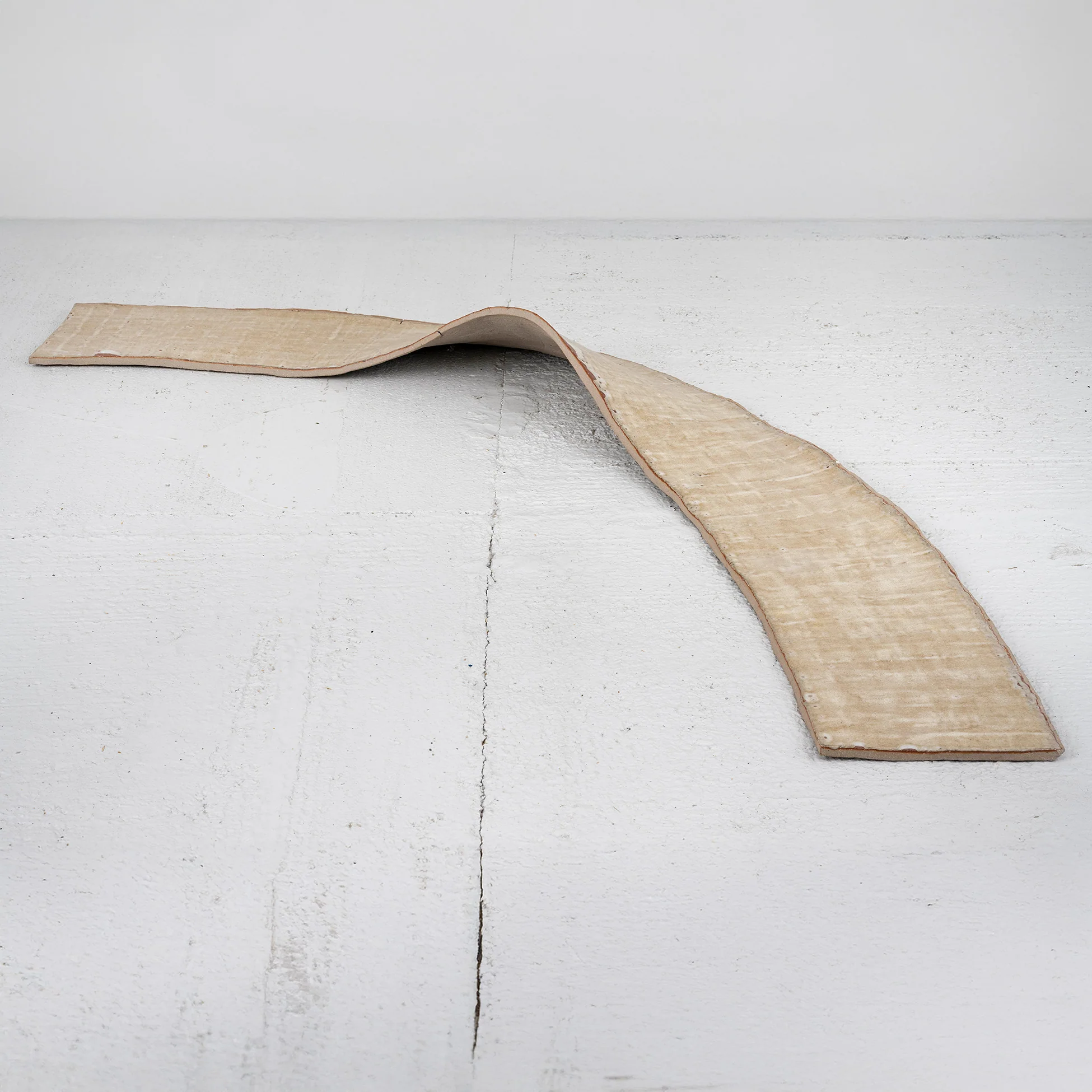 Untitled (Forms Tiring I)