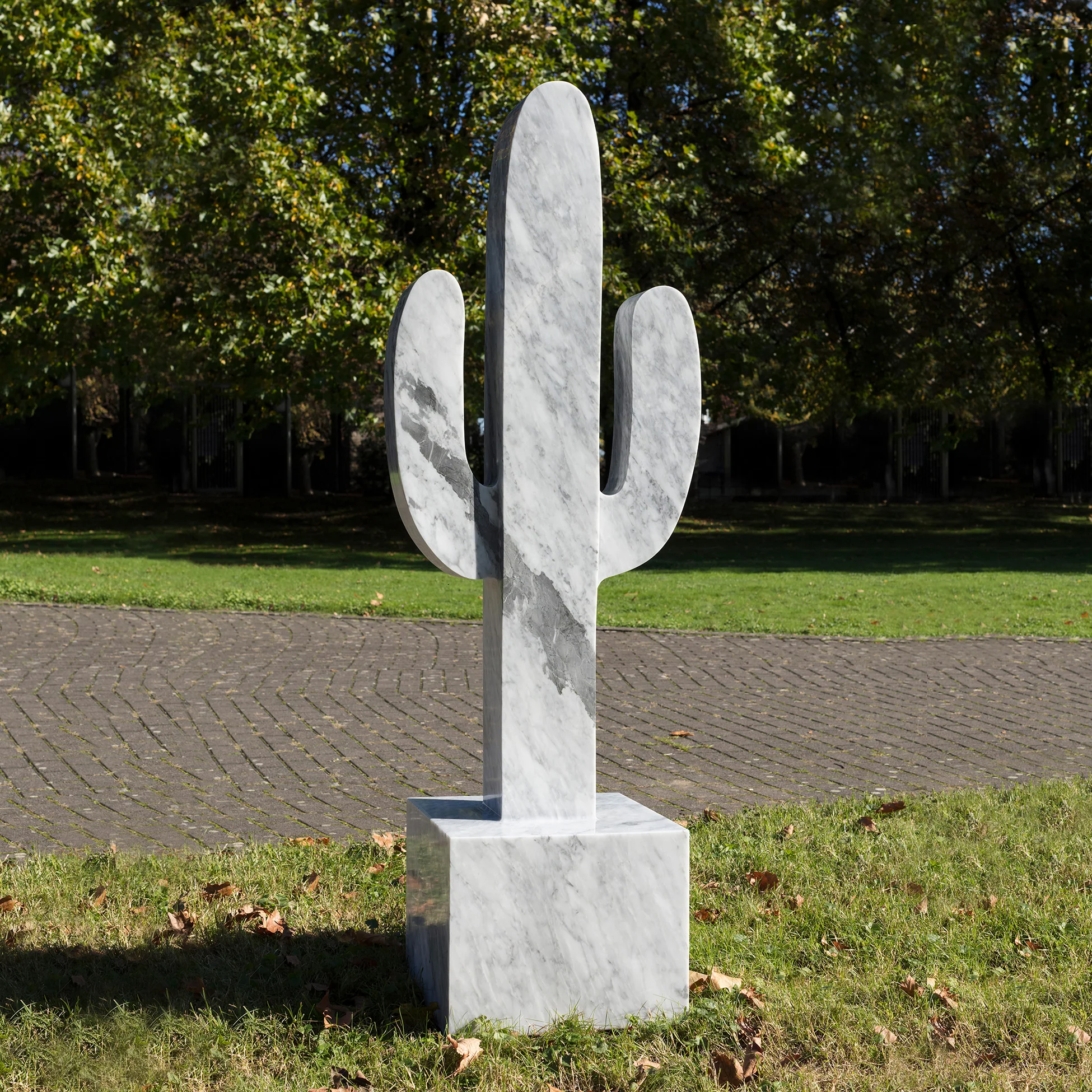 Xavier (Marble cactus)
